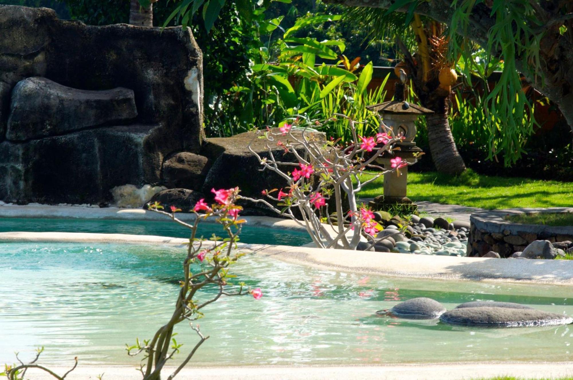 Villa Bali Pondok Jepang Lovina Buitenkant foto